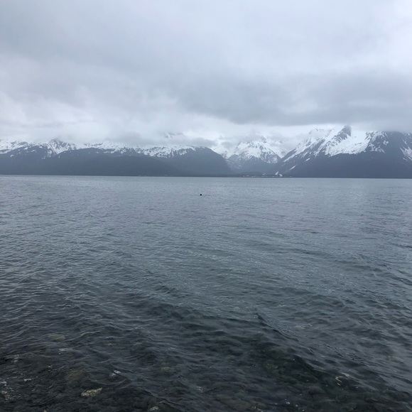 Meet your Posher, Tamara - Picture 1 of 1